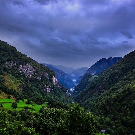 Auberge Toison D'Or Cette-Eygun エクステリア 写真