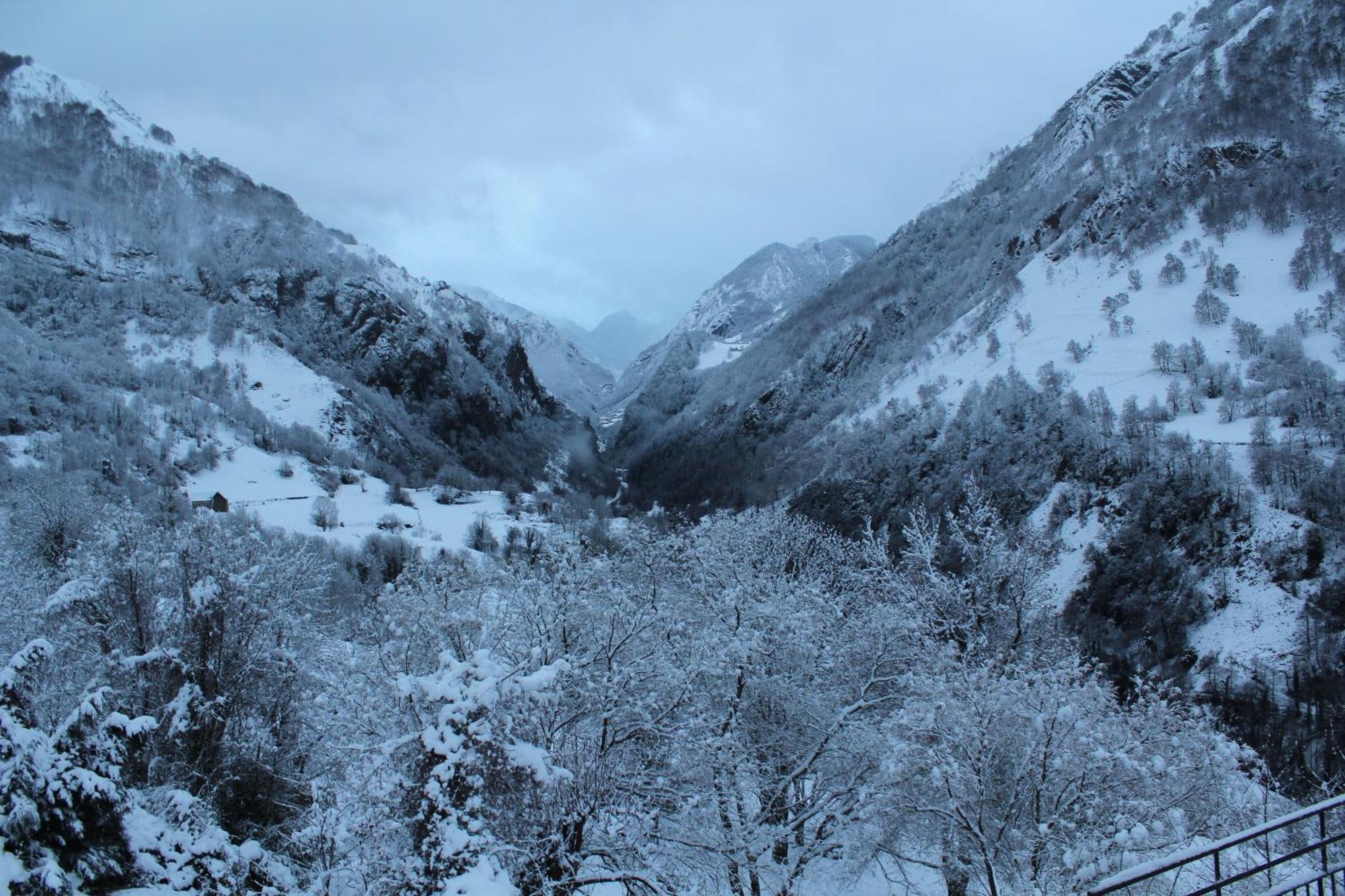 Auberge Toison D'Or Cette-Eygun 部屋 写真