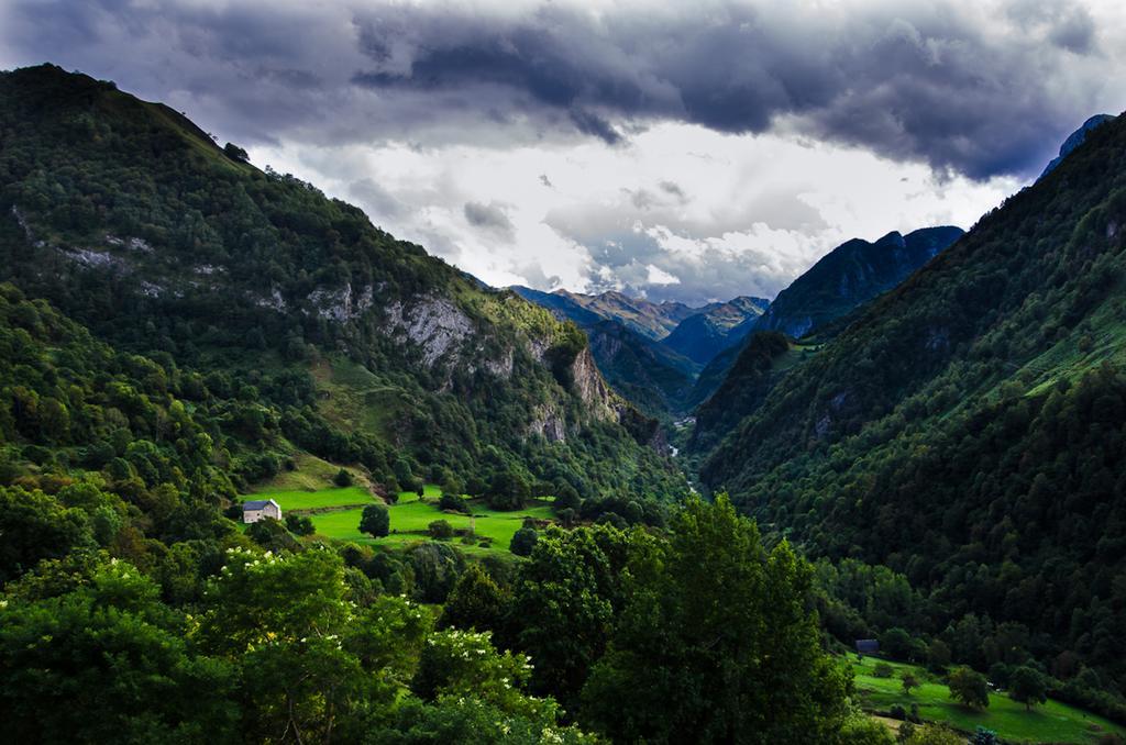 Auberge Toison D'Or Cette-Eygun エクステリア 写真